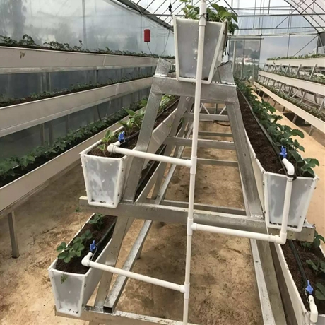 高架草莓种植槽立体种植架直供
