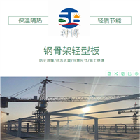 钢骨架轻型板 上海复合钢骨架轻型板DWB4512-1