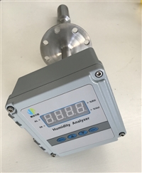 蒸汽箱在线湿度检测仪 湿度在线监测仪