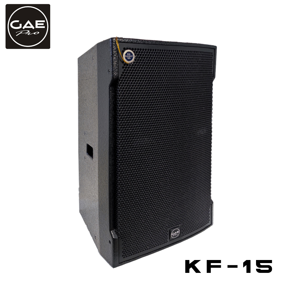 酒店会议音响 鼎泰丰音响 KF-15 15寸两分频音箱 KTV适用音响