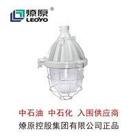 防爆配电箱-防爆LED灯-dB53-I系列防爆灯(IIB、tD)