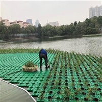 水生生态浮床 水上人工浮床 花卉种植浮岛供应厂家