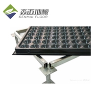 全钢防静电地板(有边型)