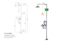 浙江洗眼器 杭州BTF11复合式洗眼器 嘉兴不锈钢紧急冲淋洗眼器