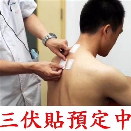 医保报销三伏贴 三伏贴贴敷 三伏贴价格 三伏贴代理 三伏贴工厂
