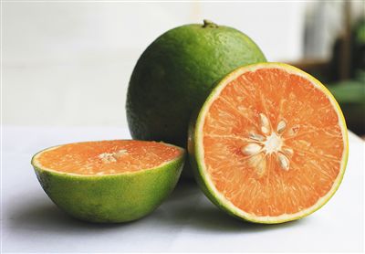 首页 琼中森林绿橙合作社 新闻资讯 琼中绿橙图片4