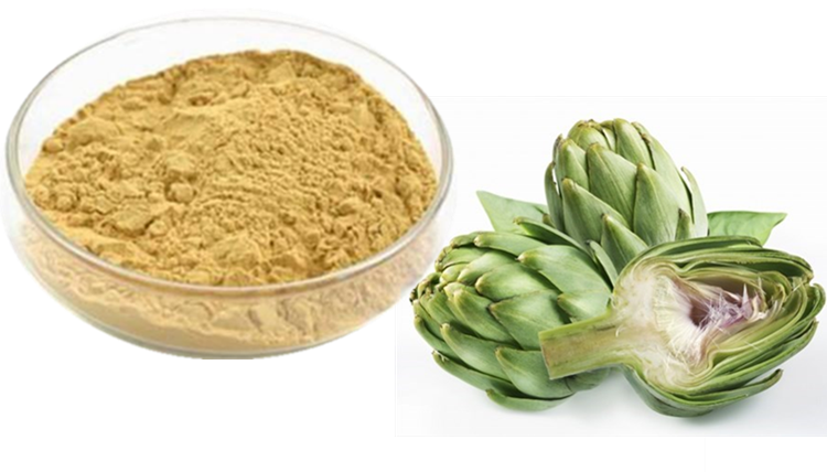 朝鲜蓟粉 菜蓟粉 植物萃取浓缩速溶粉 喷雾干燥 sc斯诺特