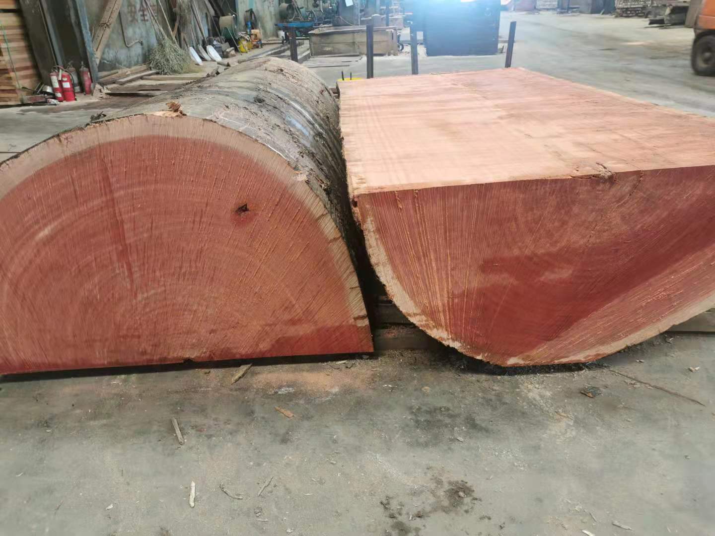 张家港可西浦原木 进口沙比利原木材 原木木地板 值得信赖