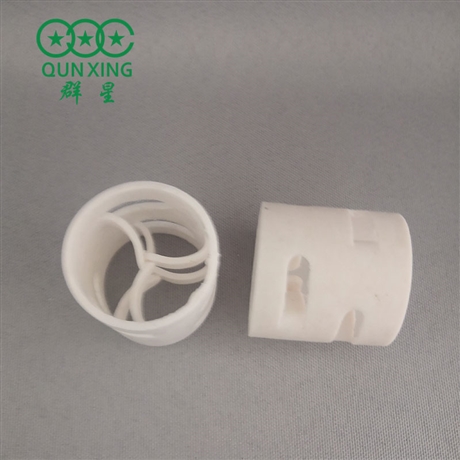 四氟鲍尔环 鲍尔环填料 萍乡群星