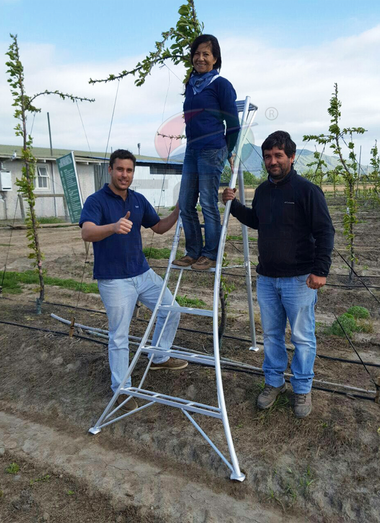 铝合金园林绿化用修剪果园梯三角园艺水果采摘梯农艺加厚三脚梯子