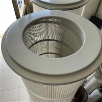 除尘滤芯 除尘滤筒 除尘器焊烟滤筒 过滤滤筒实体厂家供应