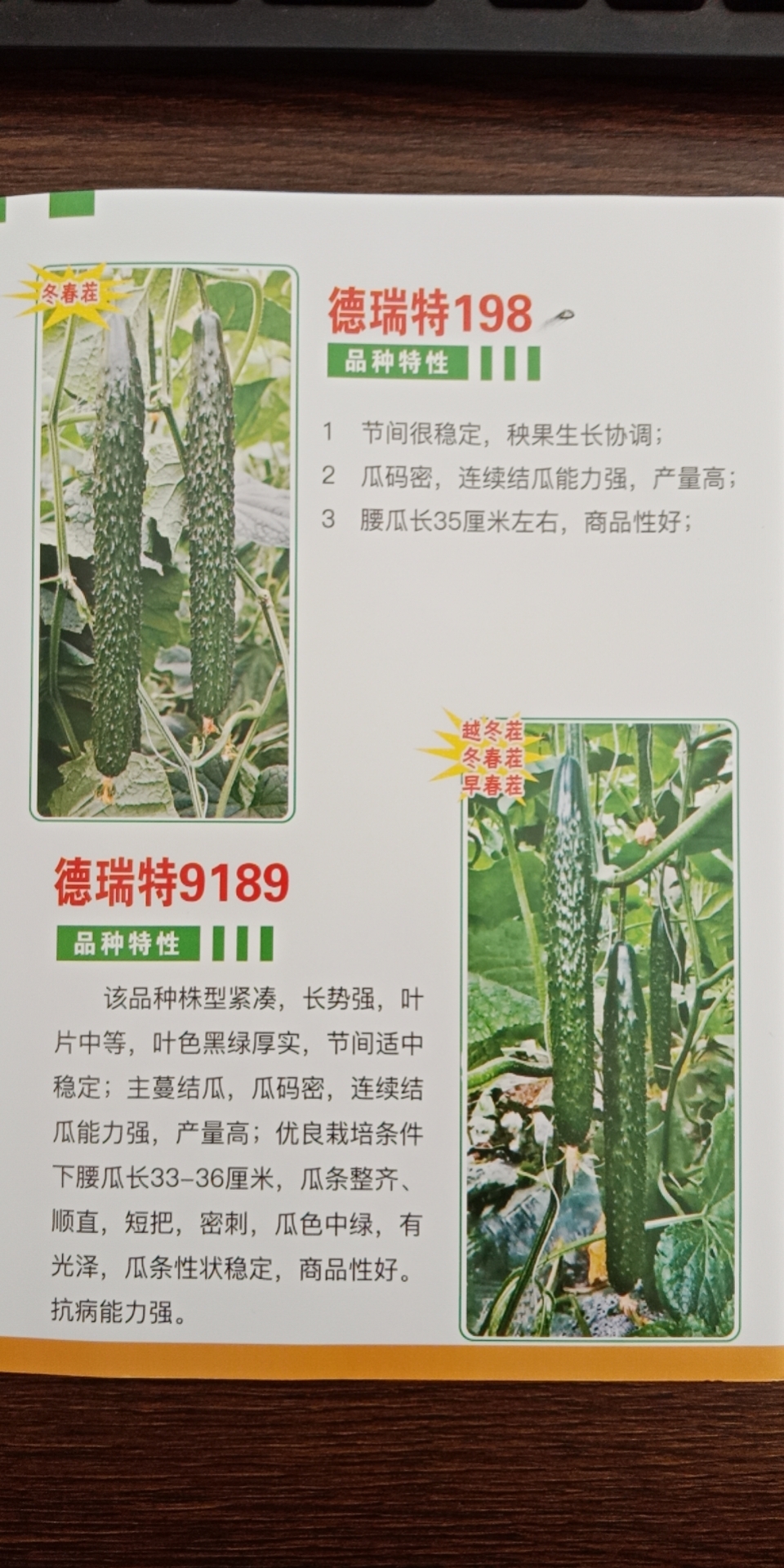 德瑞特90新品种黄瓜种子苗子瓜条整齐顺直产量高天津德瑞特种业