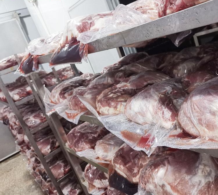 冻牛肉解冻机  解冻牛肉的设备 江众机械