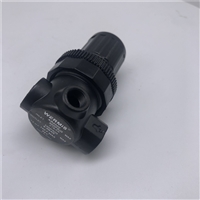 沃米斯WERMIS调压阀AR2000