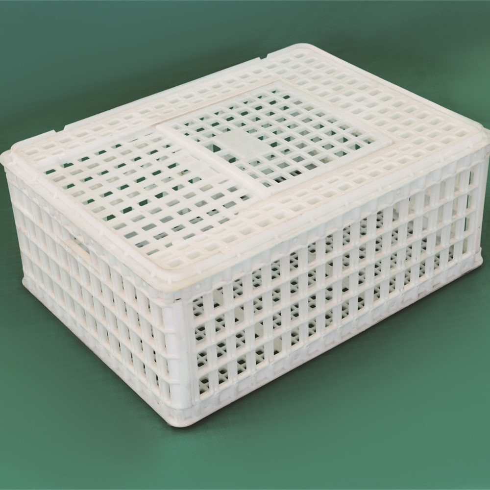 塑料成鸭周转筐抗老化鸭筐批发