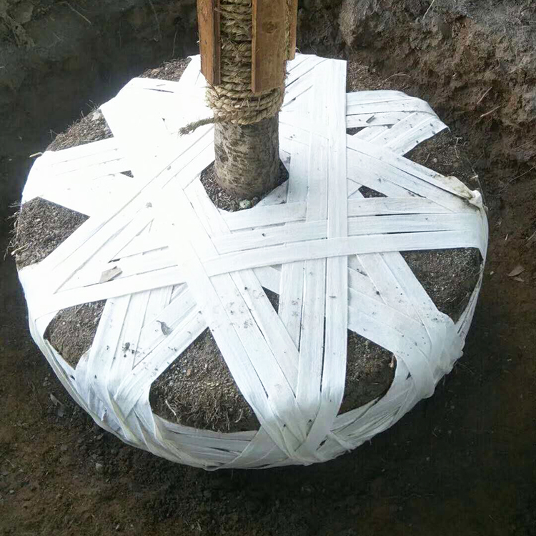土球包扎无纺布缠树土球无纺布白色树根打包布