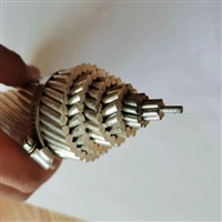 JL/G1A800/55价格  高锌层钢芯铝绞线厂家 ACSR出口导线