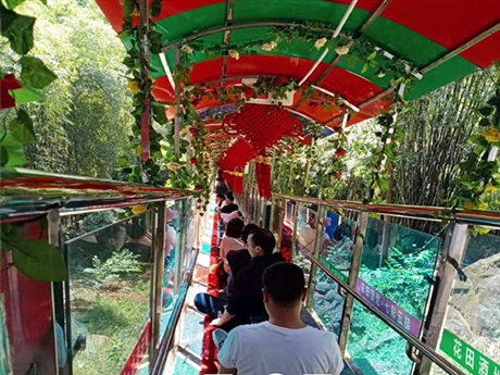 帶花紋不下滑飛天魔毯 雙向運(yùn)行 空中景區(qū)魔毯游樂(lè)場(chǎng)項(xiàng)目指南
