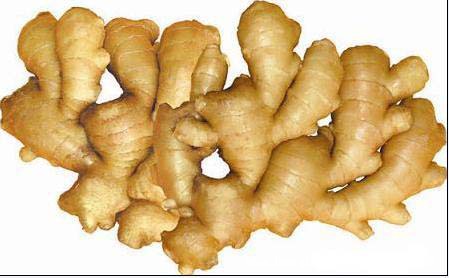 姜总搜索量:537 今日预计曝光量:49