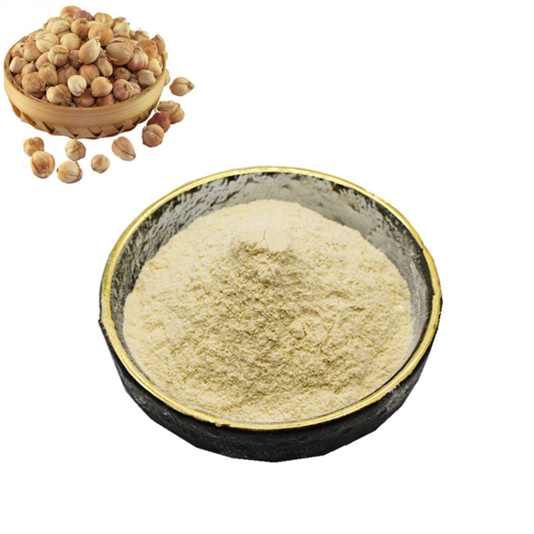 白豆蔻粉斯诺特实地验厂