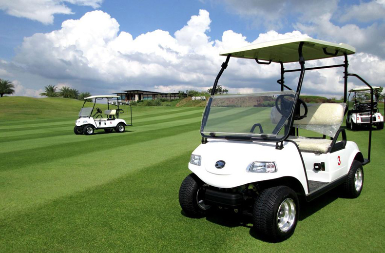 理士电池dt1066v225ah20hr高尔夫球车清洁车观光旅游车电池