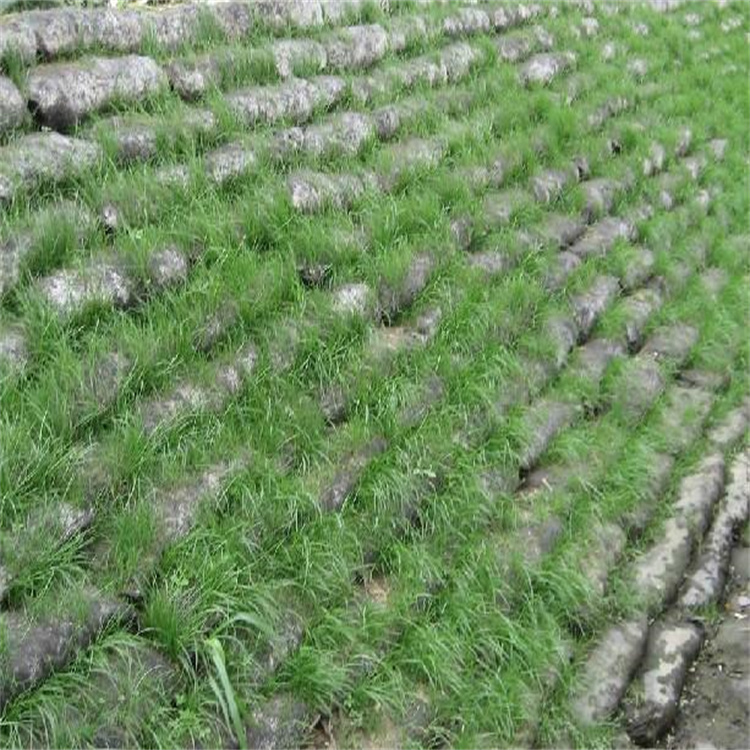 矿山河道边坡绿化 带草籽植生袋 生态袋 高速公路绿化