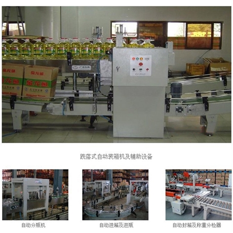 中意隆 全自动伺服装箱机 吸盘式装箱机 长期供应