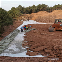 軟基反包加筋 耐久加筋濾網(wǎng)a型 擋土墻加筋土工布b型