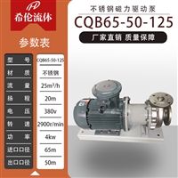 CQB65-50-125 上海希伦牌磁力泵 耐酸碱不锈钢