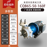单级磁力泵 防爆型 CQB65-50-160F 氟塑料材质