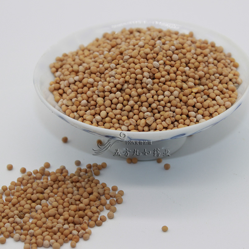 白芥子价格中药材白芥子批发供应商