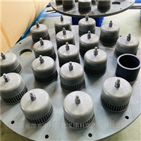  CPVC材质塑料泡罩塔盘