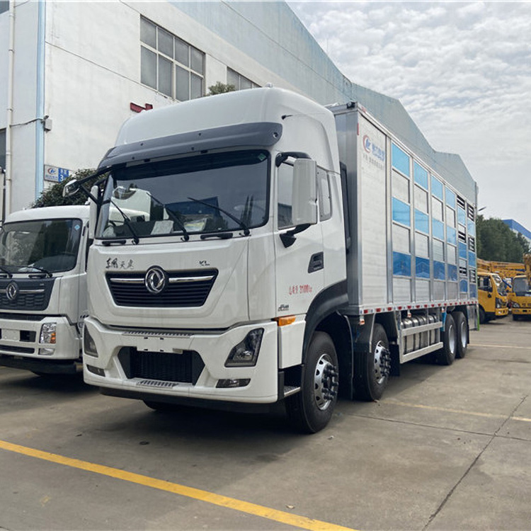 顶配养猪场拉猪车福田欧曼空调装猪车东风多利卡大猪运输车