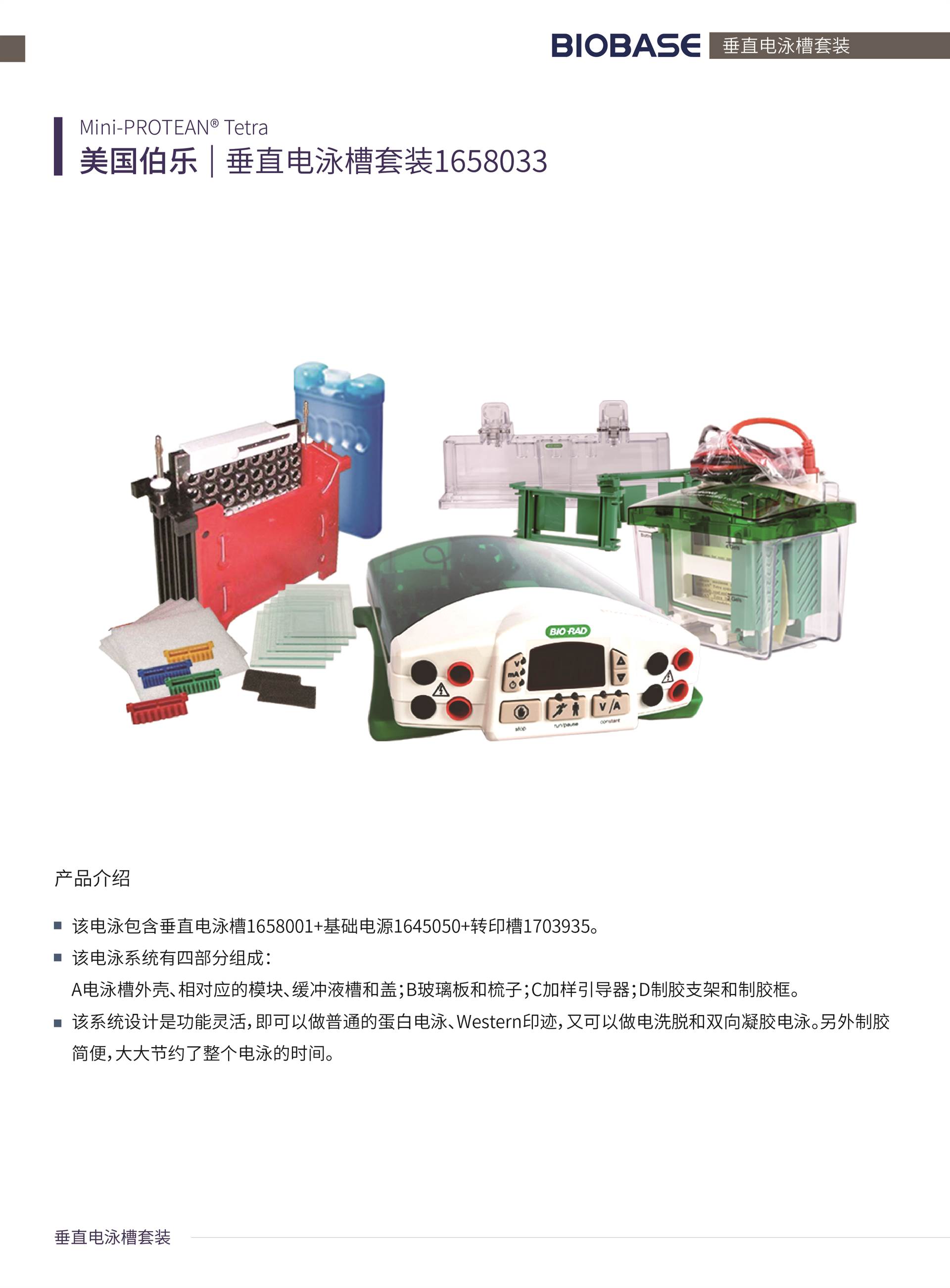 伯乐电泳仪1658033小型垂直电泳仪