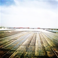 发泡水泥复合板 上海轻质02ZG710钢骨架板防火重量轻