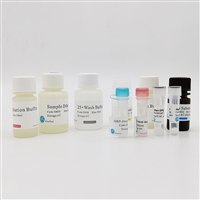 人苯丙氨酸羟化酶酶联免疫elisa试剂盒 PAH检测试剂盒