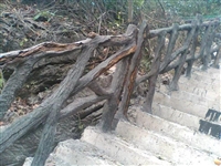 河南河道仿木景观，河北道路仿木护栏，湖北仿树皮栏杆，仿树藤栏