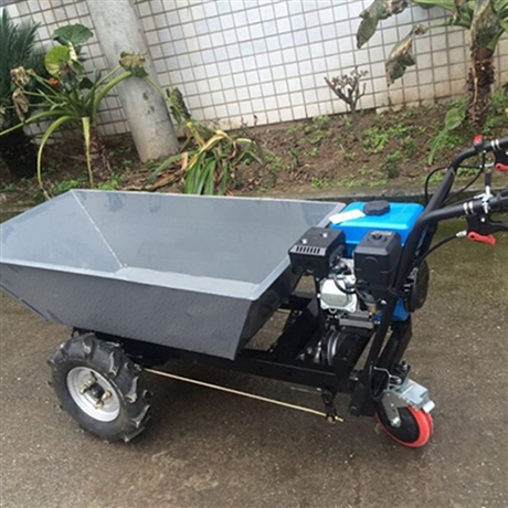 農(nóng)業(yè)運輸車動力強勁 多用型運載工具物料運輸車