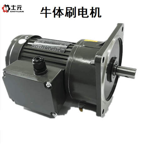 士元 牛体刷电机GV22-100-60-B 单相牛体刷用电机