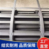 钢塑土工格栅 路基加筋GSZ双向钢塑复合格栅  工厂批发