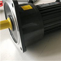 士元100W全自动牛体刷电机 单相220V牛体刷电机