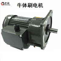 士元 牛体刷电机GV22-100-60-B 单相牛体刷用电机