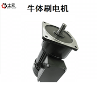 牛体刷电机100W  SHIYUAN士元电机带控制器牛体刷电机