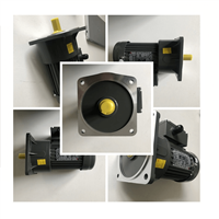 100W全自动牛体刷电机厂家直供 士元SHIYUAN牛体刷电机