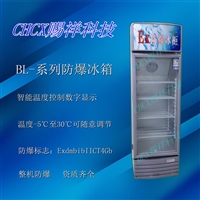 立式防爆冰柜展示柜BL-320L-赐祥