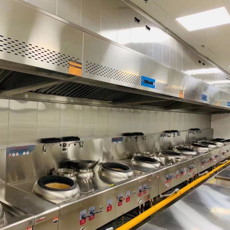 特锐德 耐腐蚀 不锈钢商用烟罩 餐厅防火排烟阀 博兴净化一体烟罩 tg