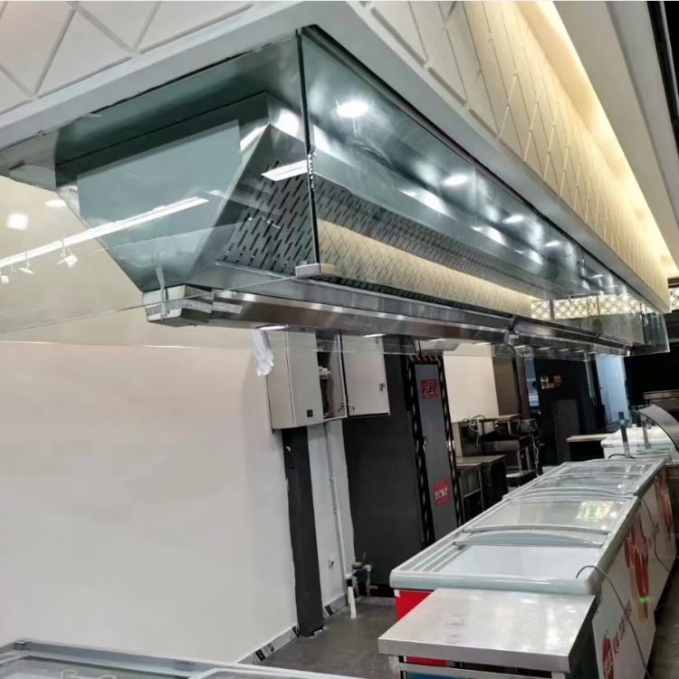 特锐德 耐腐蚀 不锈钢 排烟风机 山东厨房烟罩厂 不锈钢烟罩吊顶 tg39