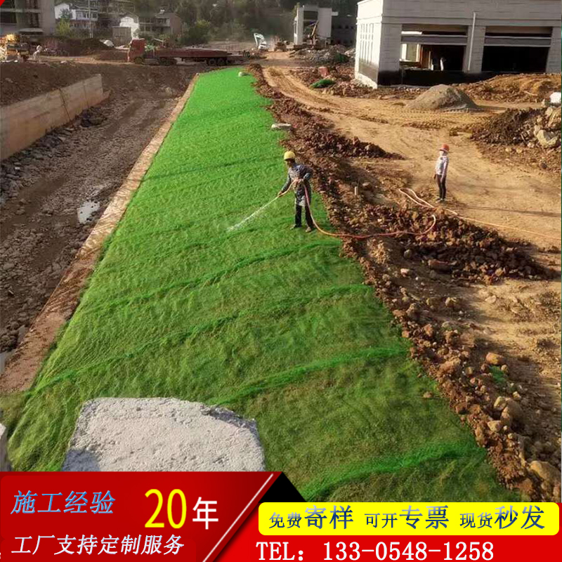 採購單層三維植被網 園林綠化護坡用em2三維土工網