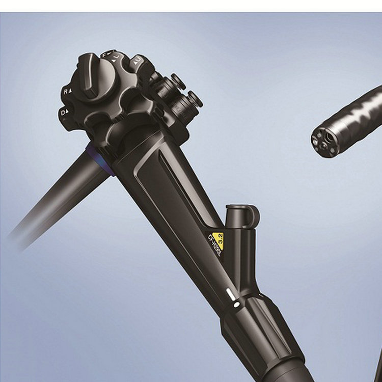 组成成分:产品由电子结肠镜cf-h290l,cf-h290i和附