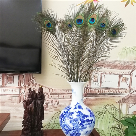 蓝孔雀羽毛的价格批发孔雀羽毛插花瓶的孔雀羽毛出售